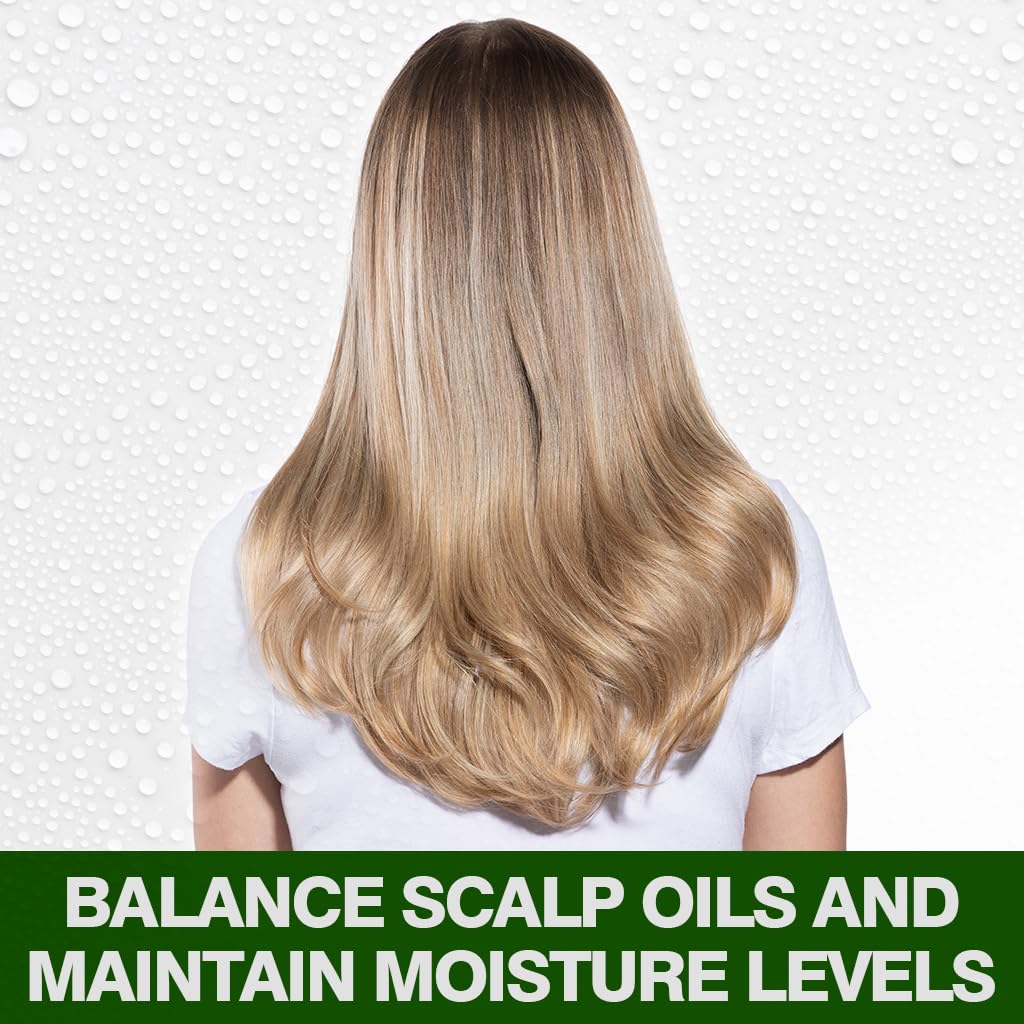 CHI Tea Tree Oil Shampoo 340 ml